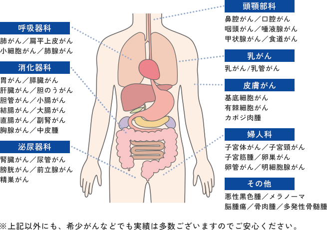 対応部位