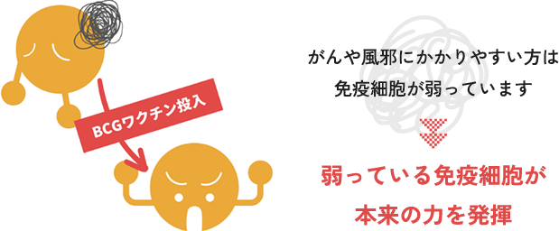 ミコール酸とリポアラビノマンナン(LAM)が両方含まれます