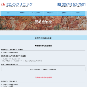 岐阜のAGA治療おすすめはたのクリニック